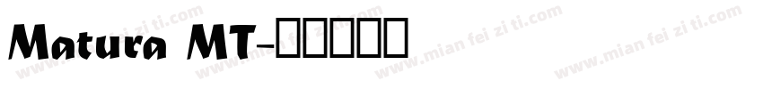Matura MT字体转换